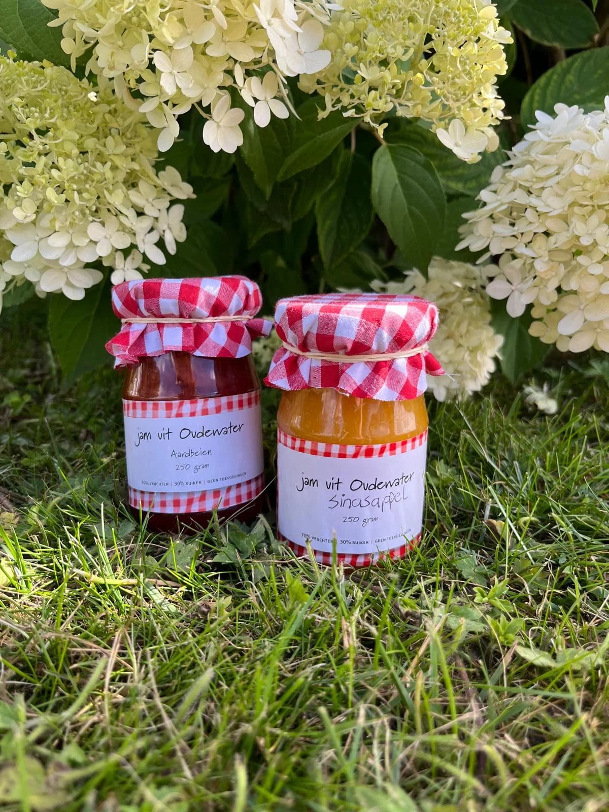 Potten Jam uit Oudewater